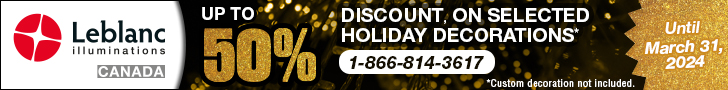 Up to 50% off of selected holiday decorations | See the catalogue »