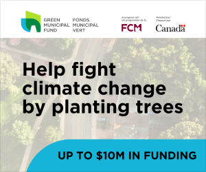 Help fight climate change by planting trees | Up to $10M in funding »