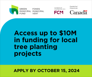 Access up to $10M in funding for local tree planting projects—Apply »