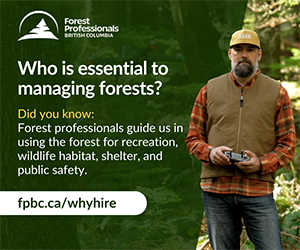 Learn why you should hire a forest professional.