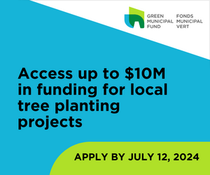 Access up to $10M in funding for local tree planting projects—Apply »