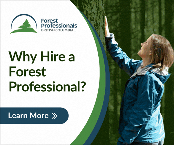 Unlock the benefits of hiring a forest professional