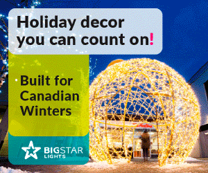 Holiday decor you can count on! Big Star Lights